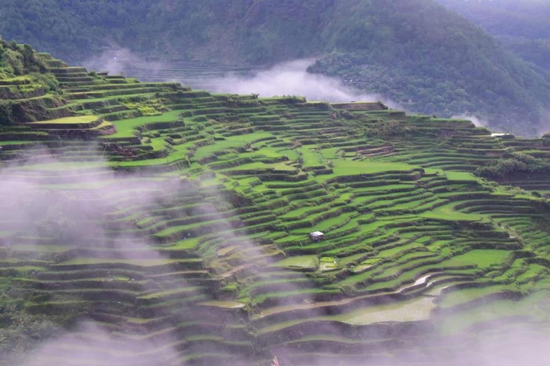 Vilma'S Homestay Bontoc  외부 사진